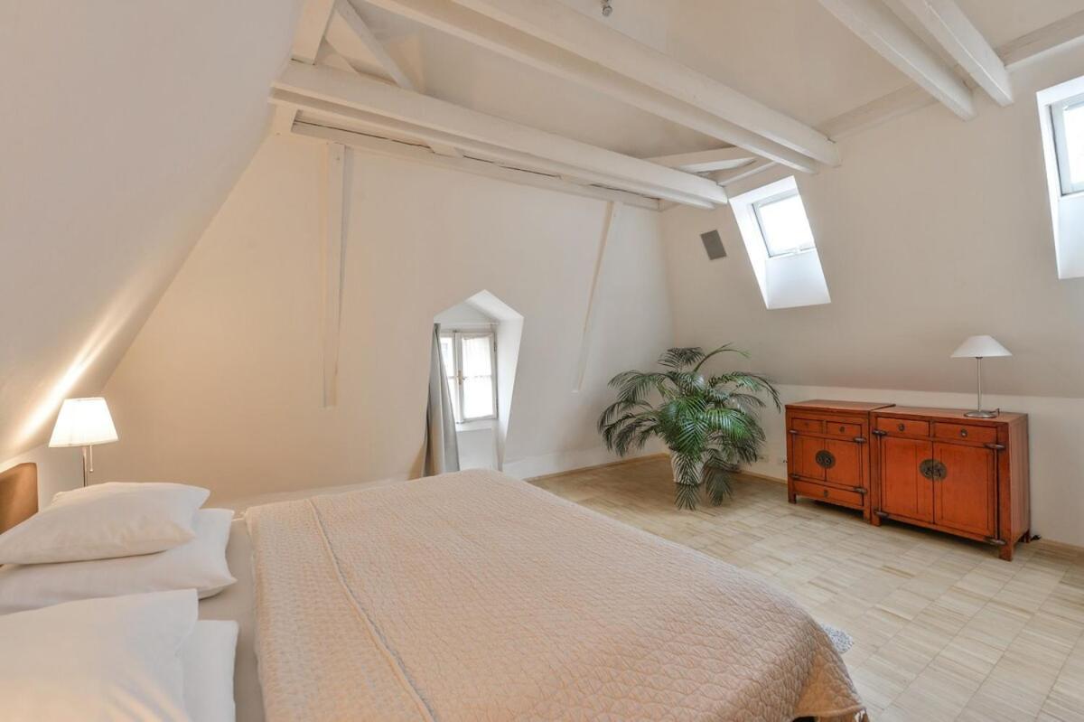 Eclectic Loft With Terrace Apartment
